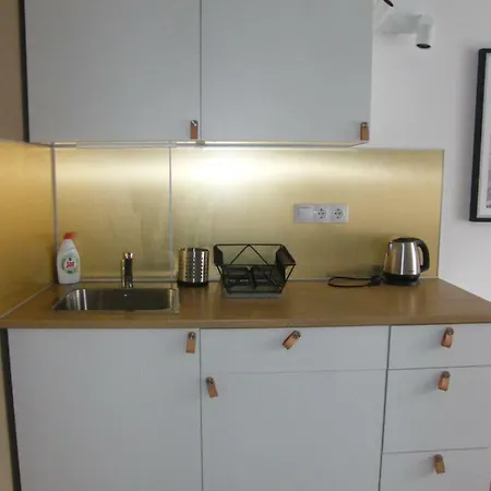 Apartment Orgona 1
